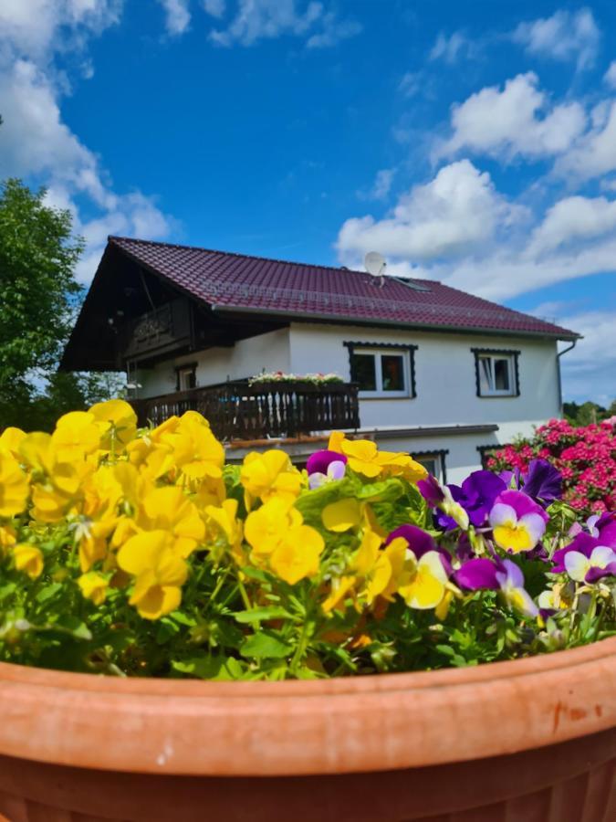 Ferienwohnung Eva Grebenhain Kültér fotó